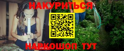 прущие грибы Шелехов