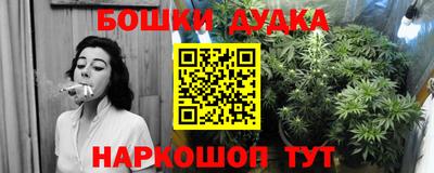 прущие грибы Шелехов