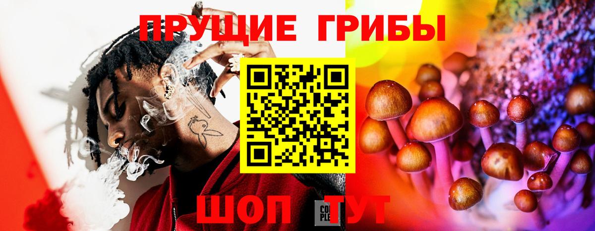 Галлюциногенные грибы Psilocybine cubensis Бугуруслан