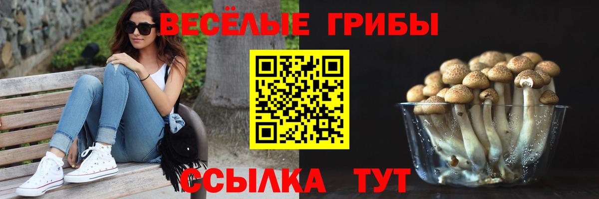 Псилоцибиновые грибы Psilocybine cubensis  Вход с VPN  Бугуруслан 